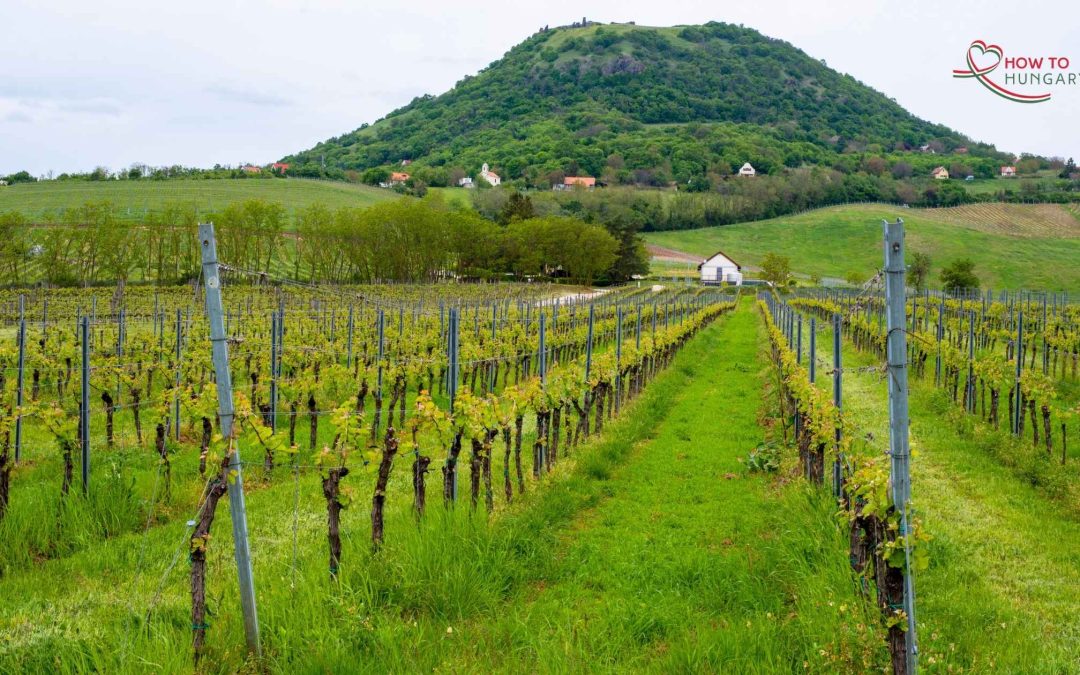 Press Houses and the Joys of Rural Hungary
