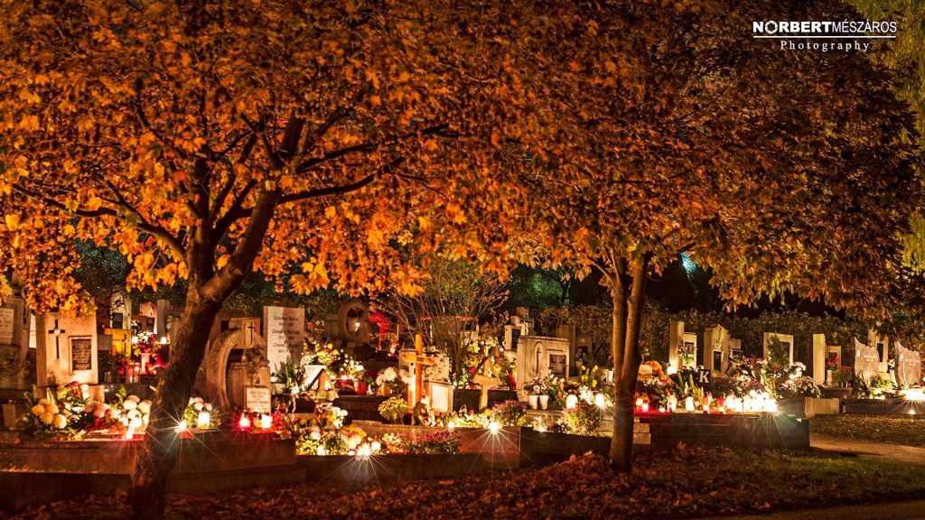 Candlelit graves beneath golden autumn trees at Sümeg Cemetery on All Saints’ Day in Hungary.